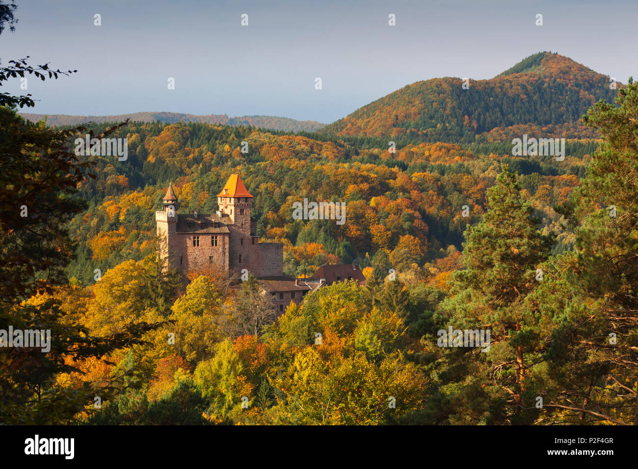 Le château de Berwartstein, près de Erlenbach, Dahner Felsenland, parc naturel de la Forêt du Palatinat, Rhénanie-Palatinat, Allemagne Banque D'Images