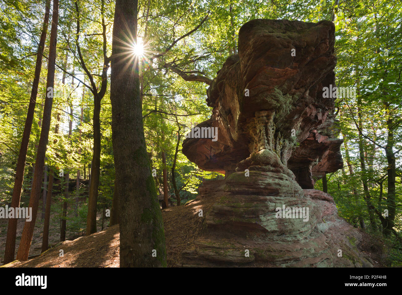 Rock formation près de Dahn, Dahner Felsenland, parc naturel de la Forêt du Palatinat, Rhénanie-Palatinat, Allemagne Banque D'Images
