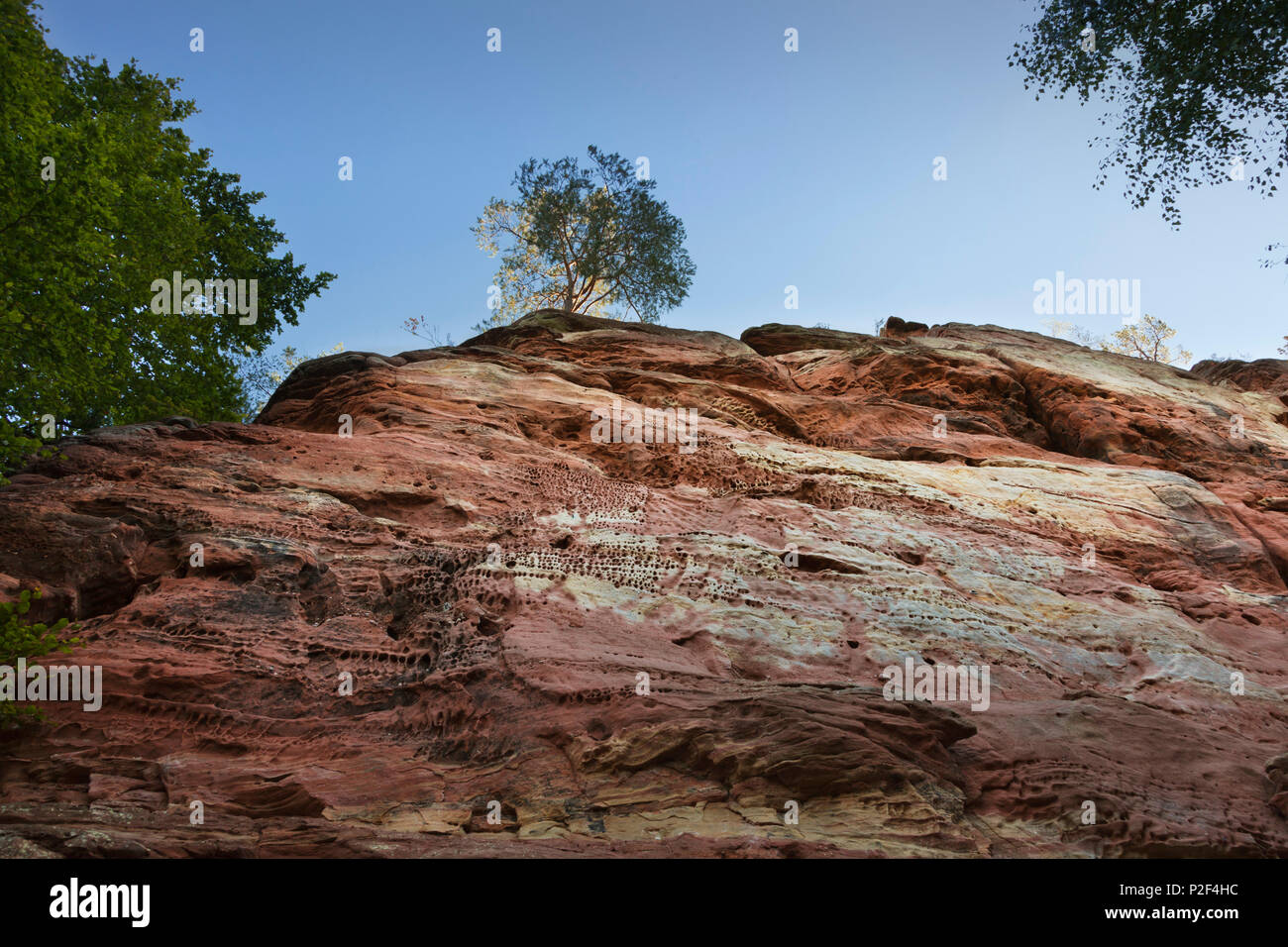 Laemmerfels rock, près de Dahn, Dahner Felsenland, parc naturel de la Forêt du Palatinat, Rhénanie-Palatinat, Allemagne Banque D'Images