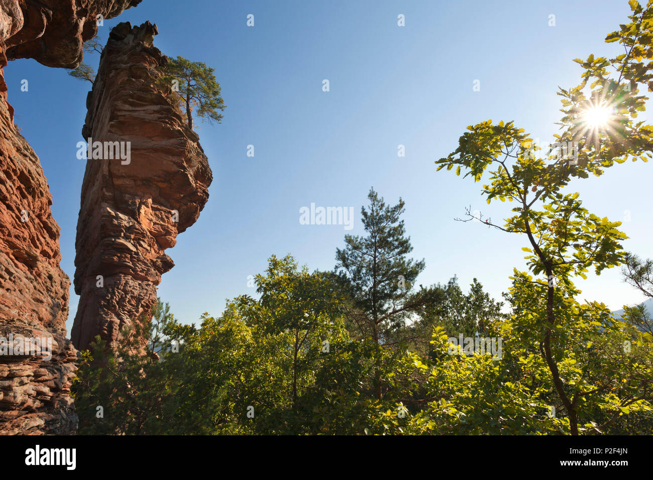 Laemmerfels rock, près de Dahn, Dahner Felsenland, parc naturel de la Forêt du Palatinat, Rhénanie-Palatinat, Allemagne Banque D'Images