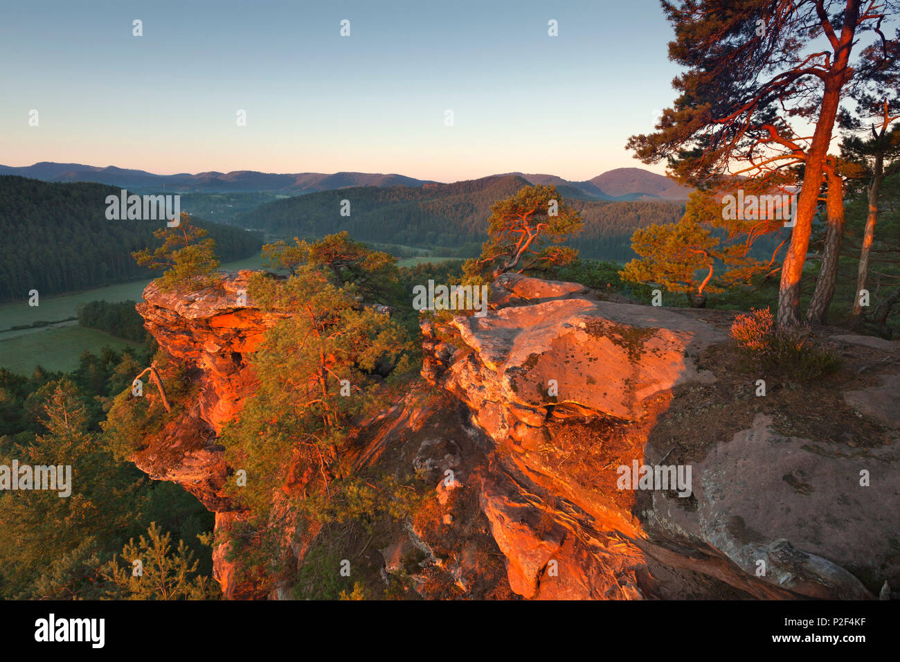Sprinzelfels rock, près de Busenberg, Dahner Felsenland, parc naturel de la Forêt du Palatinat, Rhénanie-Palatinat, Allemagne Banque D'Images