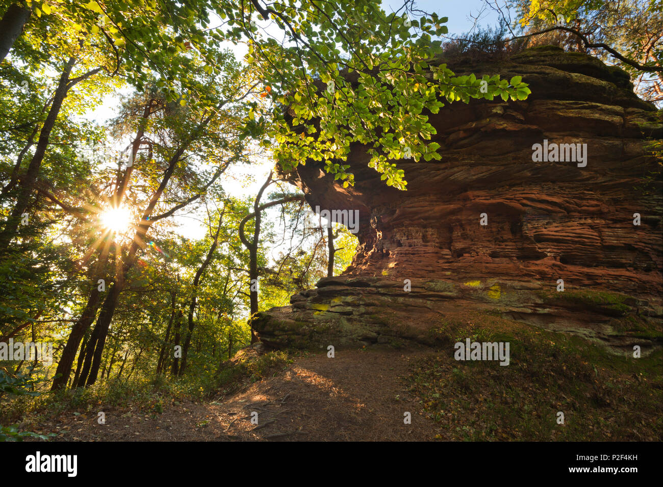 Sprinzelfels rock, près de Busenberg, Dahner Felsenland, parc naturel de la Forêt du Palatinat, Rhénanie-Palatinat, Allemagne Banque D'Images