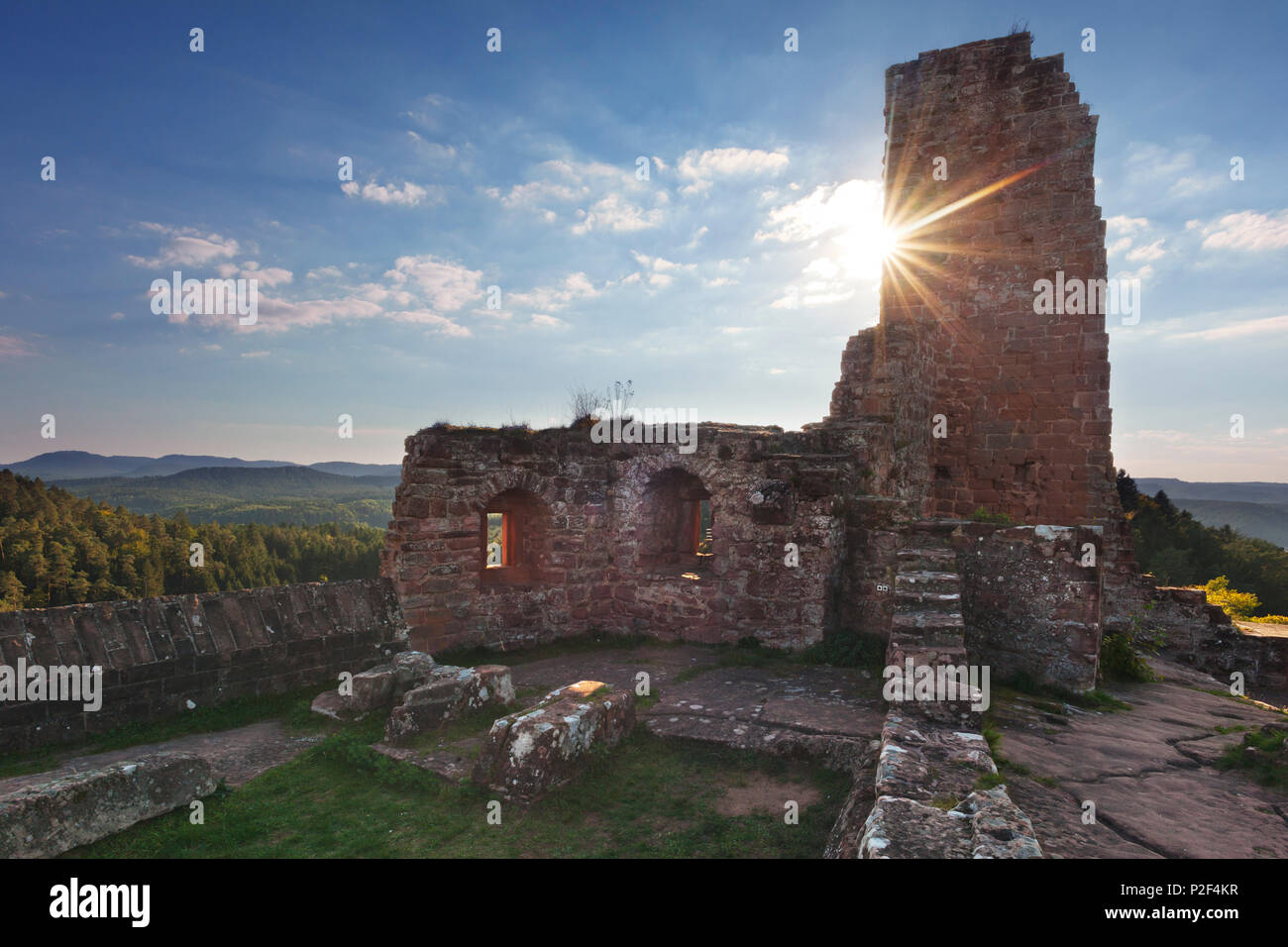 Grafendahn, château Burgen, groupe Dahner près de Dahn, Dahner Felsenland, parc naturel de la Forêt du Palatinat, Rhénanie-Palatinat Banque D'Images