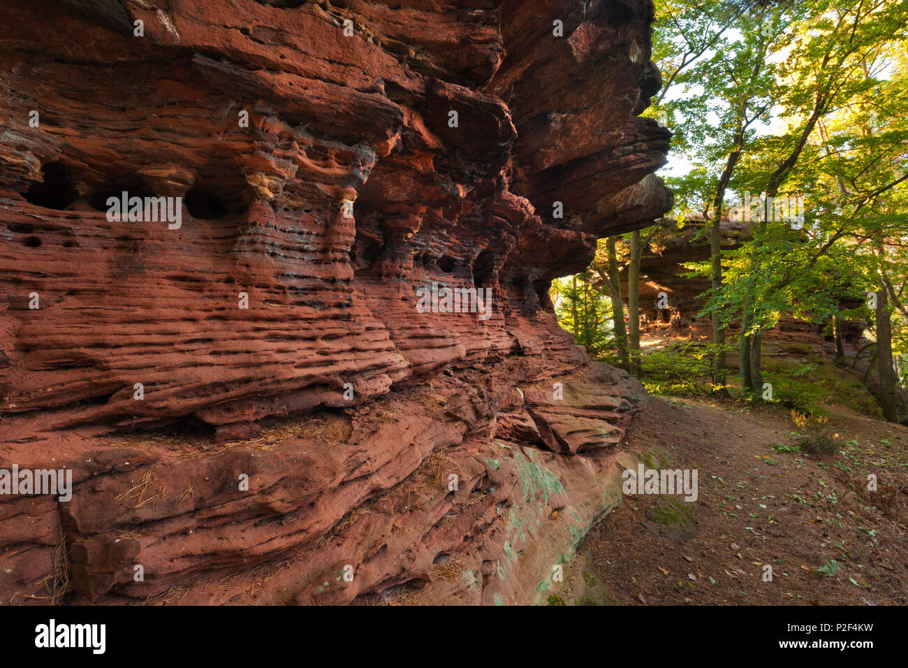 Sprinzelfels rock, près de Busenberg, Dahner Felsenland, parc naturel de la Forêt du Palatinat, Rhénanie-Palatinat, Allemagne Banque D'Images
