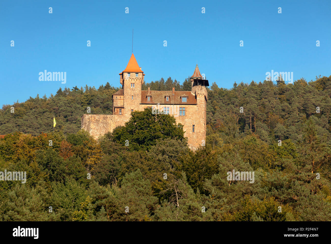 Le château de Berwartstein, près de Erlenbach, Dahner Felsenland, parc naturel de la Forêt du Palatinat, Rhénanie-Palatinat, Allemagne Banque D'Images