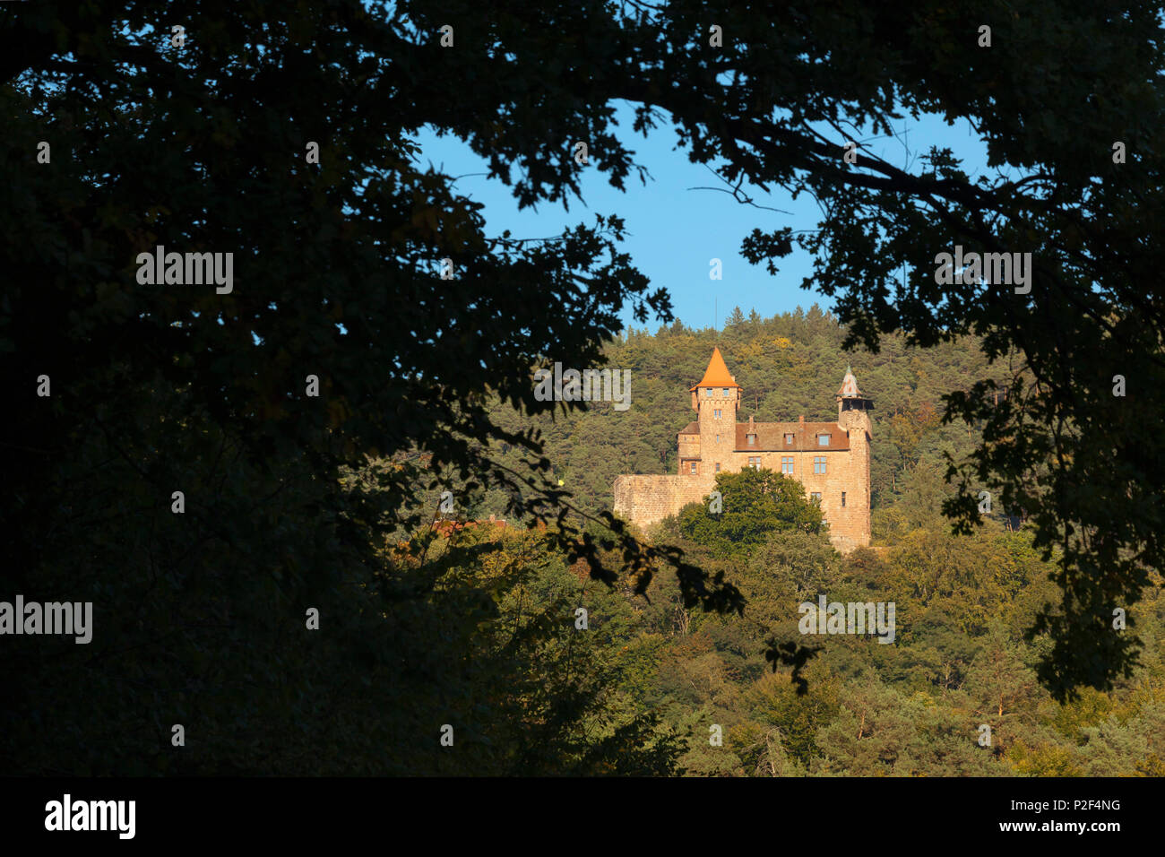 Le château de Berwartstein, près de Erlenbach, Dahner Felsenland, parc naturel de la Forêt du Palatinat, Rhénanie-Palatinat, Allemagne Banque D'Images