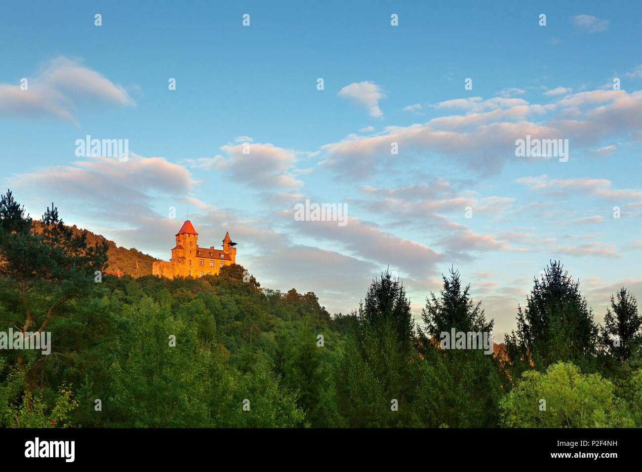 Le château de Berwartstein, près de Erlenbach, Dahner Felsenland, parc naturel de la Forêt du Palatinat, Rhénanie-Palatinat, Allemagne Banque D'Images