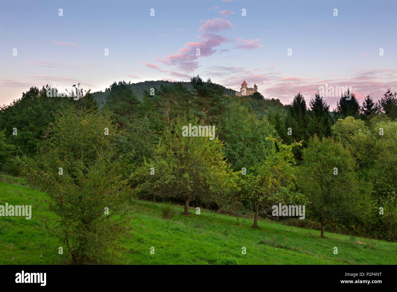 Le château de Berwartstein, près de Erlenbach, Dahner Felsenland, parc naturel de la Forêt du Palatinat, Rhénanie-Palatinat, Allemagne Banque D'Images