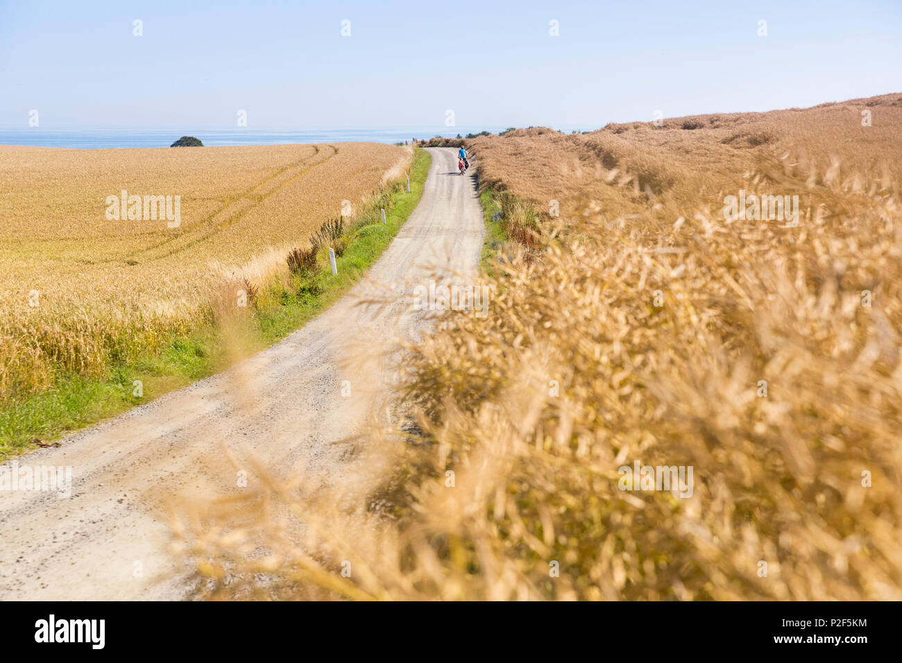 Mère et fils sur un tour en vélo, la mer Baltique, M., Bornholm, près de Allinge, Danemark, Europe Banque D'Images Mère et fils sur un tour en vélo, la mer Baltique, M., Bornholm, près de Allinge, Danemark, Europe Banque D'Images