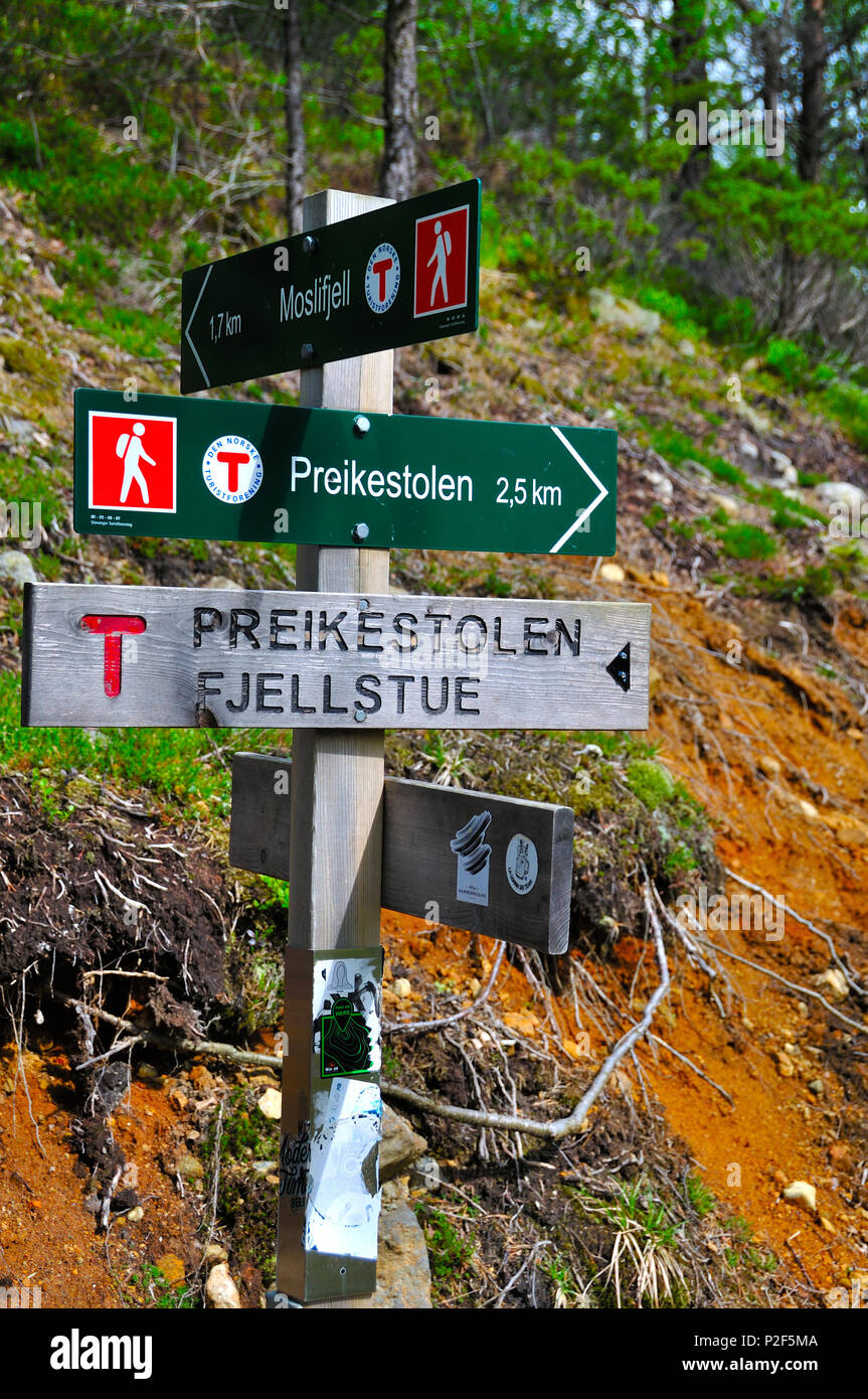 Montée vers le prektestolen ou pupitre en Norvège Banque D'Images