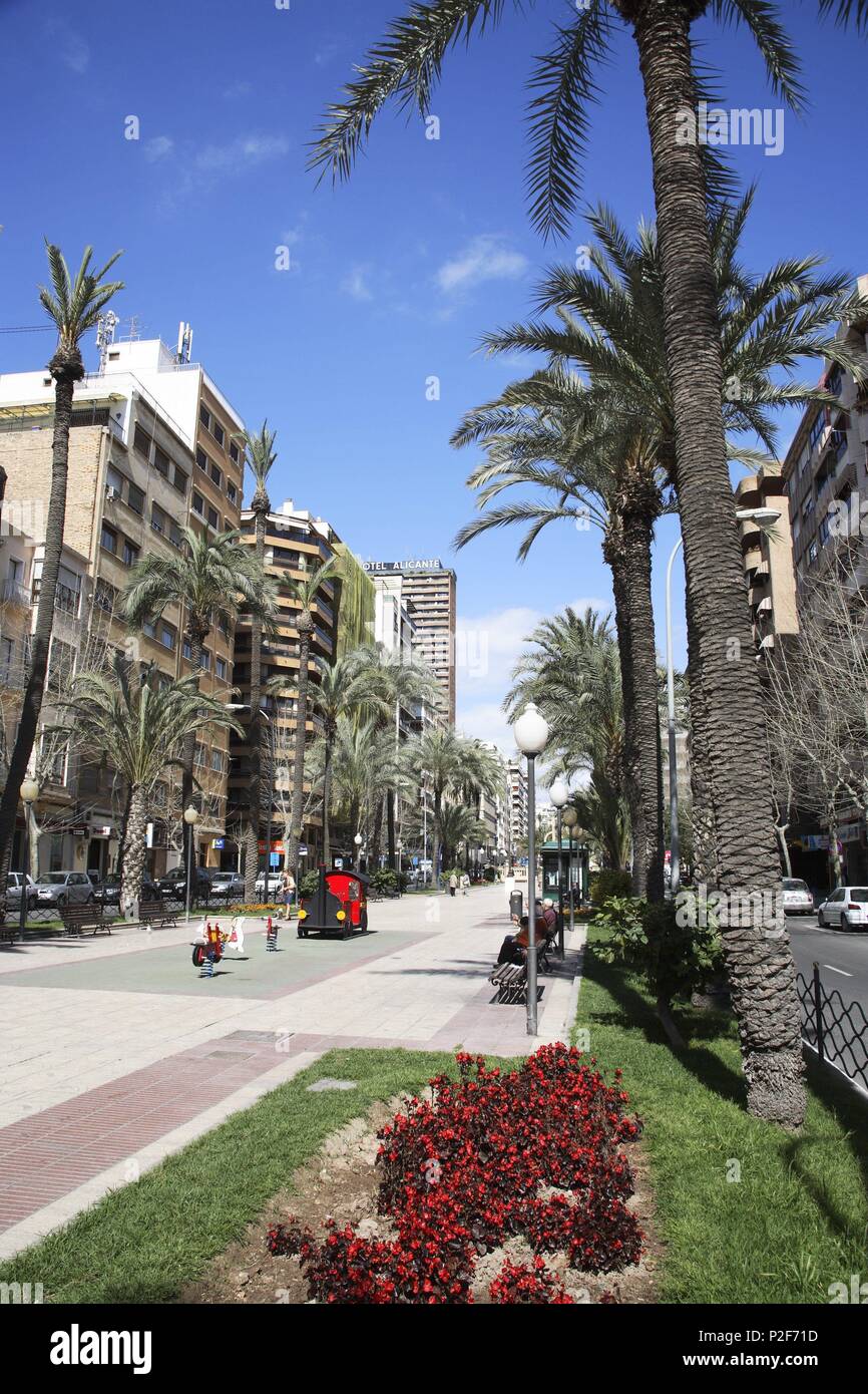 Espagne - région autonome de Valence - L'ALACANTÍ (district) - Alicante. Alicante (capitale), Avenida del Dr. Gadea. Banque D'Images