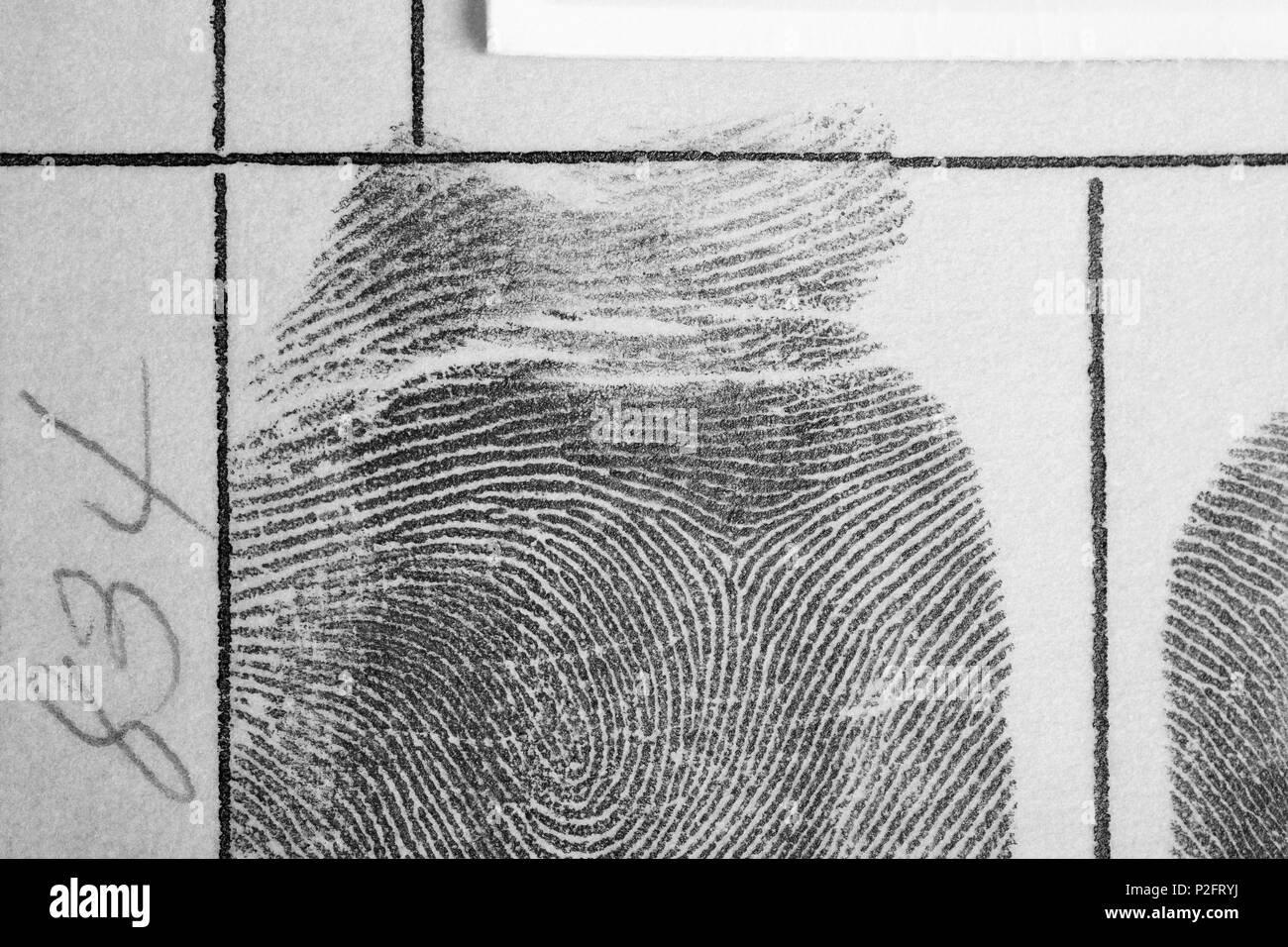 Empreinte d'encre numérique sur un papier texturé. Le contrôle de la sécurité. L'horizontale Banque D'Images