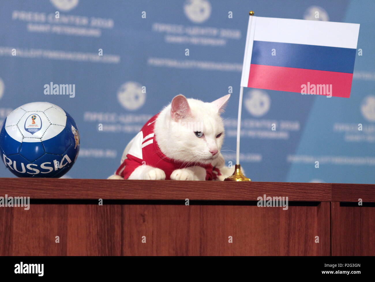 13 Juin 18 La Russie Saint Petersbourg Musee De L Ermitage L Achille Chat Sourd Du Monde De La Fifa 18 Predit L Oracle Des Animaux Resultat De L Ouverture De La Coupe Du Monde