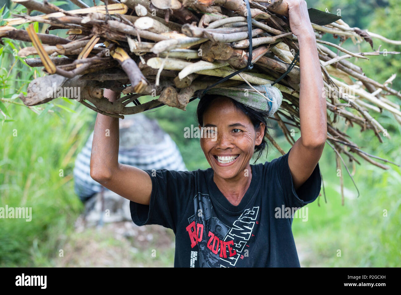 Femme portant un tas de bois sur la tête, près de Sidemen, Bali, Indonésie Banque D'Images