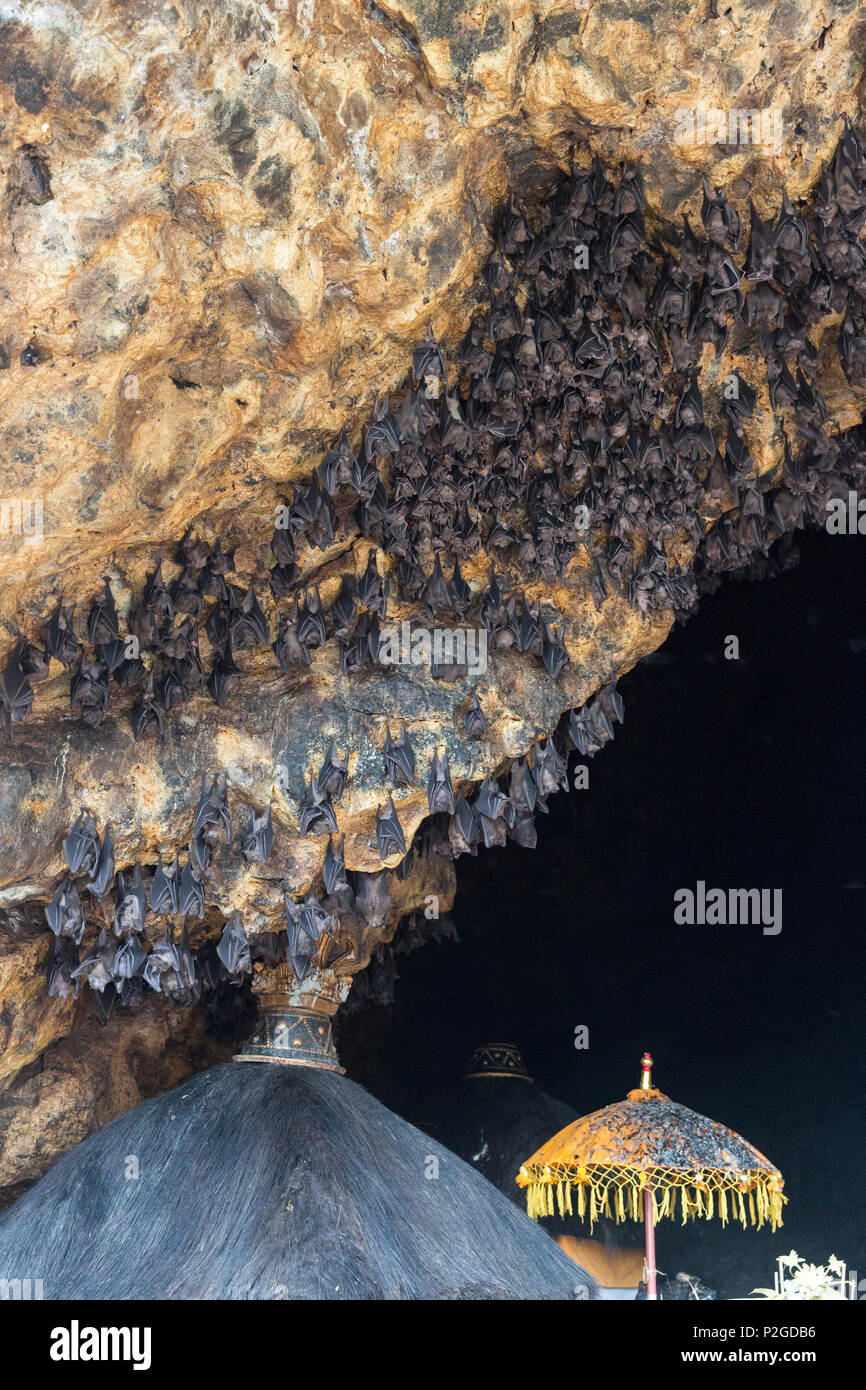 Festival Odalan, Pura, grotte de chauves-souris de Goa Lawah, Padangbai Bali, Indonésie Banque D'Images