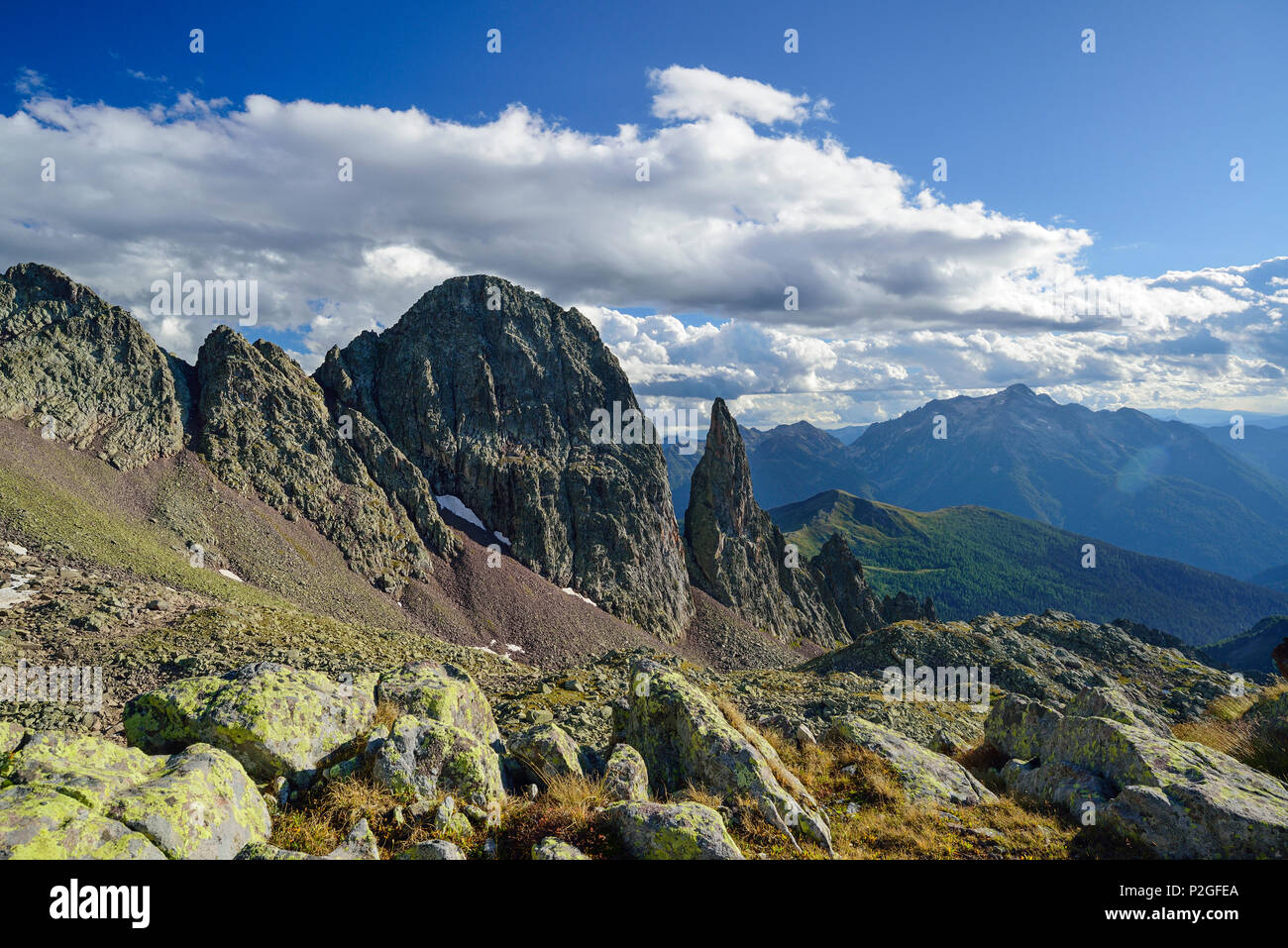 Vue de crête avec Campanile di Cece et Cima d'Asta, Cima di Cece, Trans-Lagorai, gamme de Lagorai, Dolomites, UNESCO World Herita Banque D'Images