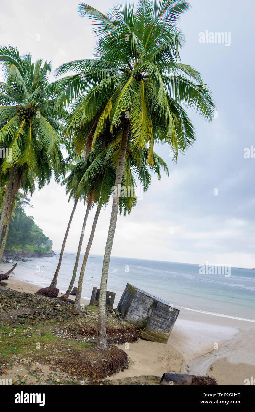 Le beau paysage protégé par la mer d'Andaman en Inde Port Blair Banque D'Images