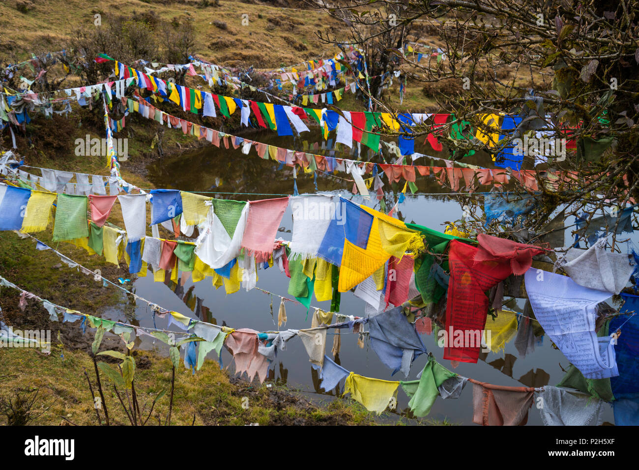 Drapeau de prière tibétain ou pulmonaire ta et à côté de l'étang, le drapeau s'accrocher haut lieu pour l'écoulement du vent tiens de tous les peuples de l'Inde, le Sikkim , Banque D'Images Drapeau de prière tibétain ou pulmonaire ta et à côté de l'étang, le drapeau s'accrocher haut lieu pour l'écoulement du vent tiens de tous les peuples de l'Inde, le Sikkim , Banque D'Images