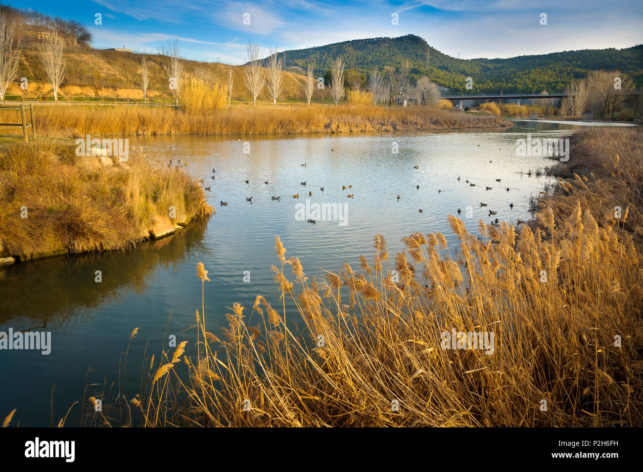 Vilanova del Cami River Park, Barcelone, ​​Spain Banque D'Images