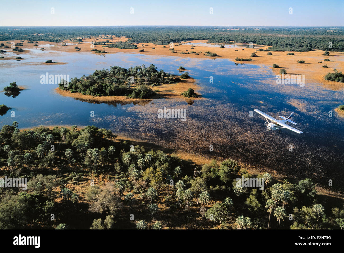 Safari vol, Okavango-Delta, Botswana, Africa Banque D'Images