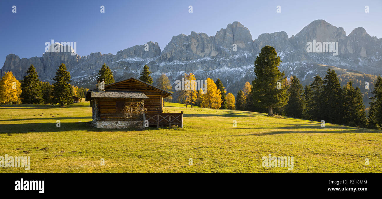Automne Alm en face de la montagne de Rosengarten avec cabane, Koelbleggiesen, près de Nigerpass, Alto Adige, le Tyrol du Sud, Dolo Banque D'Images