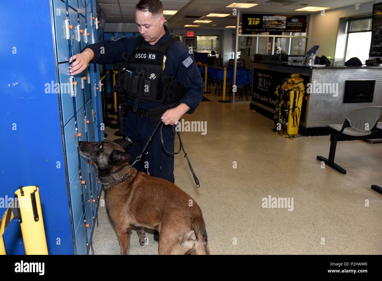 Maître de 1re classe Nick Antis, un maître de chien avec l'équipe de sécurité et de sûreté maritimes 91106 à New York, dirige Ryder, un Belge Malinois, chien de détection d'explosifs dans un balayage d'un bâtiment à la suite de l'Assemblée générale des Nations Unies à la Jetée 6-dans la ville de New York, le 21 septembre 2016. La Garde côtière de détection d'explosifs canine programme améliore la détection et les capacités de dissuasion dans l'environnement maritime, les terres adjacentes au bord de l'eau et installations. (U.S. Photo de la Garde côtière du Maître de 2e classe Sabrina Clarke.) Banque D'Images