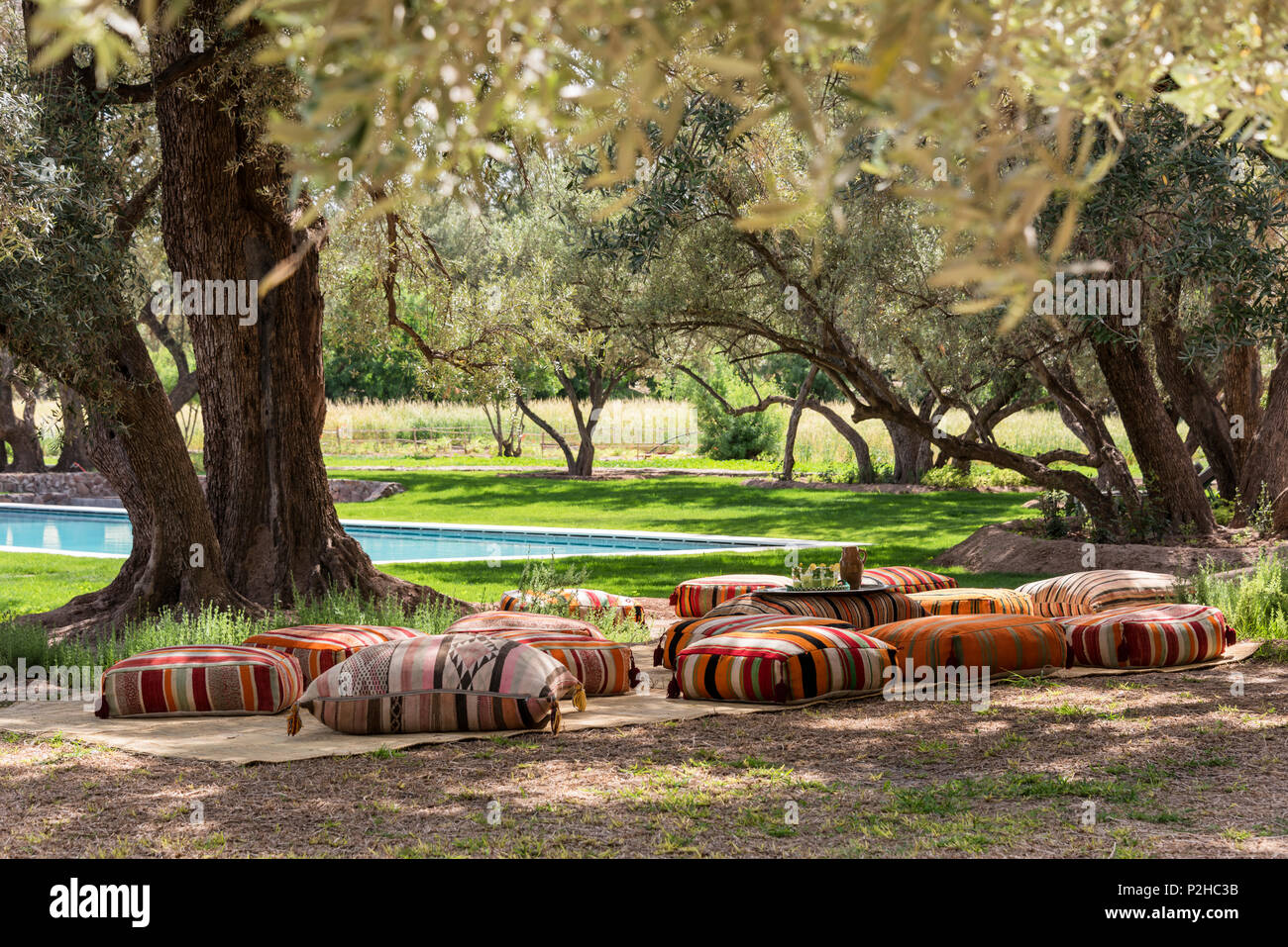 Kilim meubles pouffs dispersés parmi les oliviers dans jardin avec piscine Banque D'Images