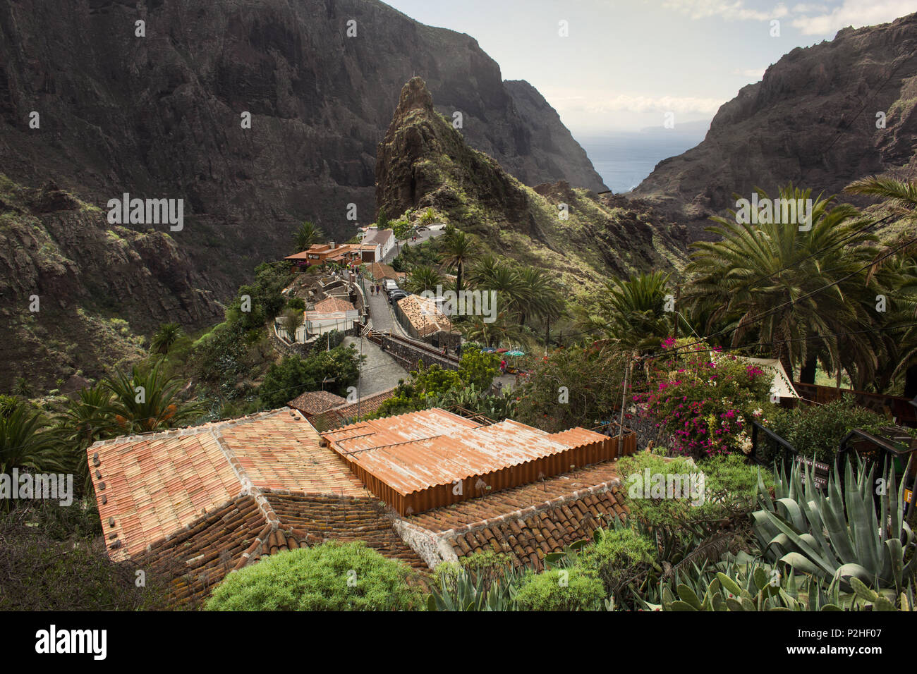 Vue sur la vallée de Masca, îles canaries Banque D'Images