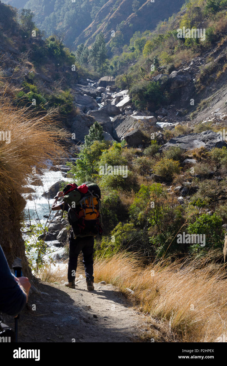 La randonnée le long de la rivière Langtang Khola, Syabrubesi, Langtang, Népal Banque D'Images