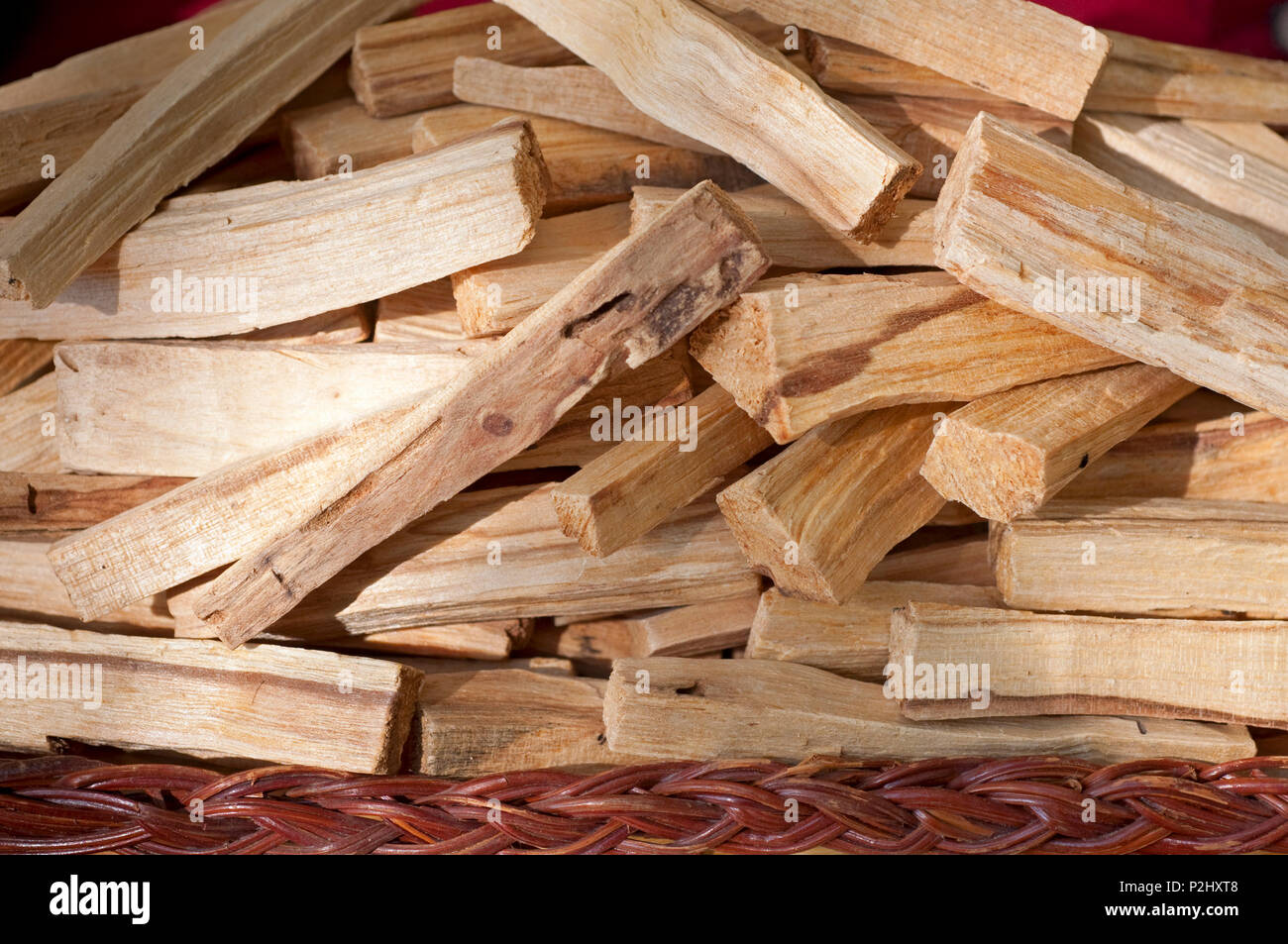 Palo Santo Tree d'Encens Banque D'Images