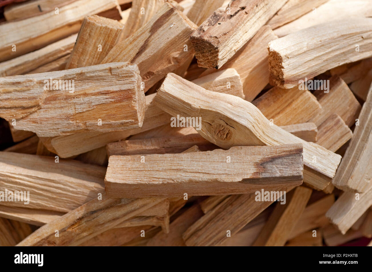 Palo Santo Tree d'Encens Banque D'Images