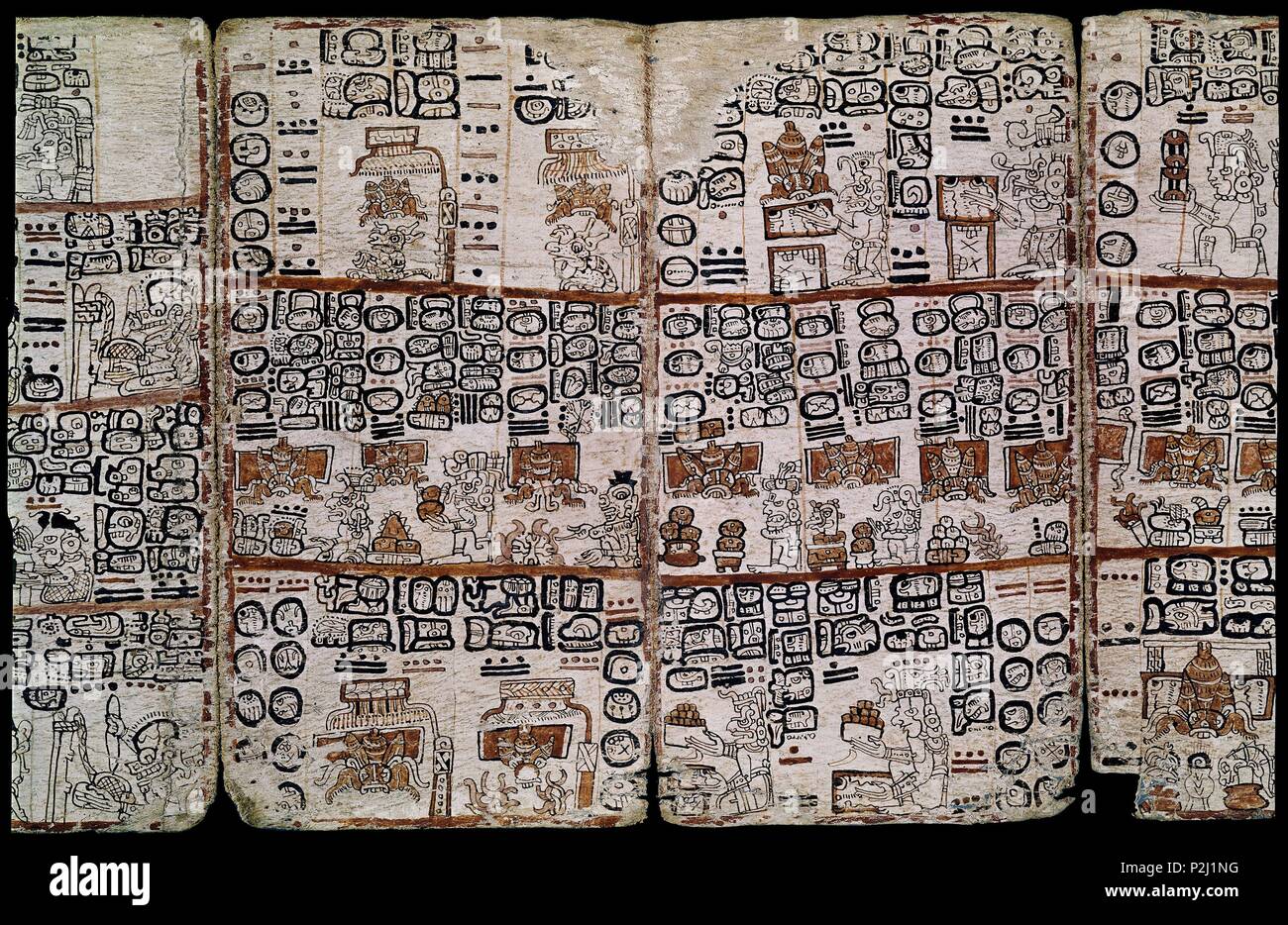 Page de la Codex Tro-Cortesianus Codex Codex Maya ou Madrid. Les dieux et les hommes. 13e-15e siècles. Madrid, Musée de l'Amérique. Lieu : MUSÉE DE L'AMÉRIQUE - COLECCION, MADRID, ESPAGNE. Banque D'Images