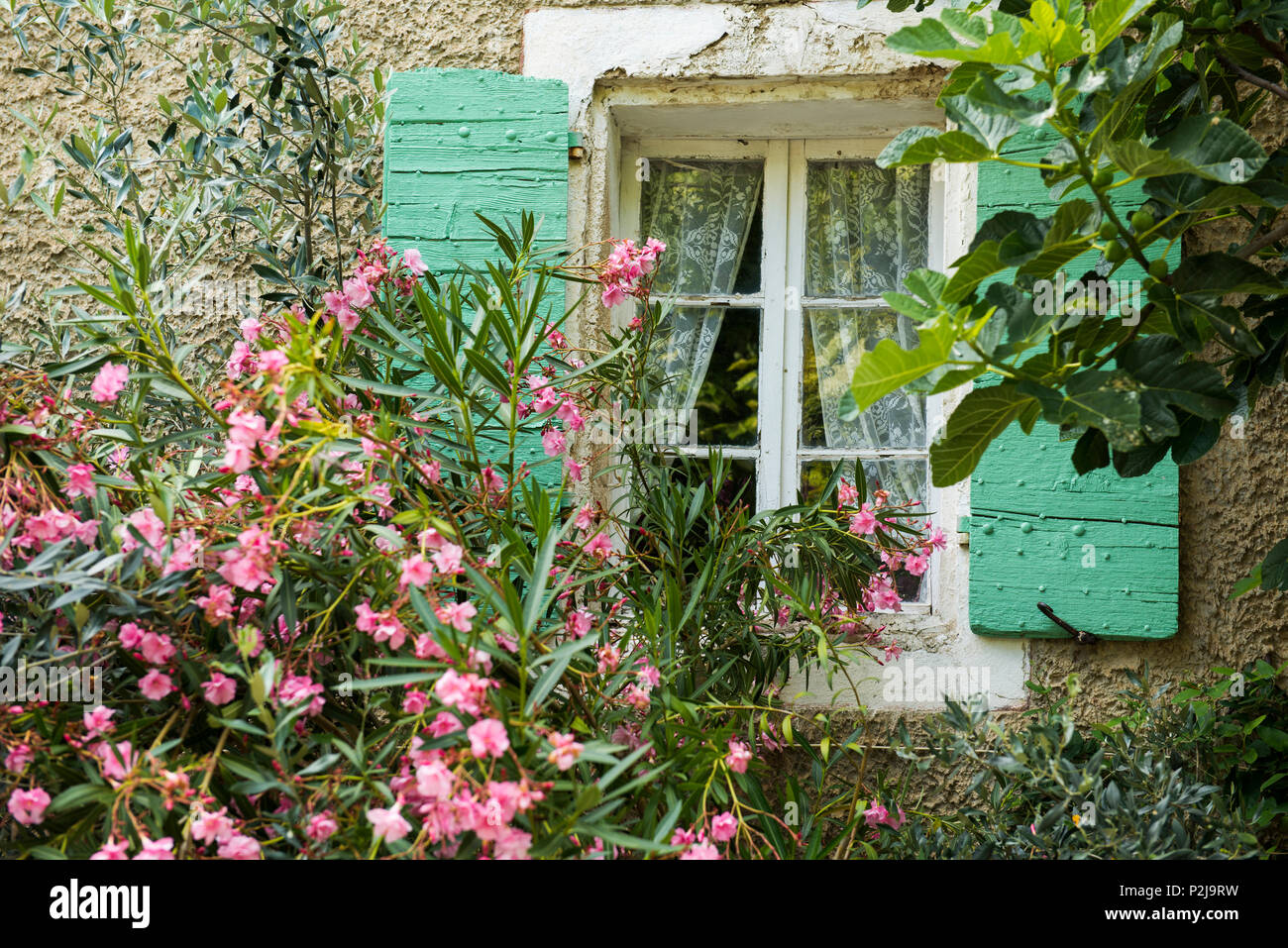 La Roche sur le bois, proche de Buis-les-Baronnies, Département de la Drôme, région Rhône-Alpes, Provence, France Banque D'Images
