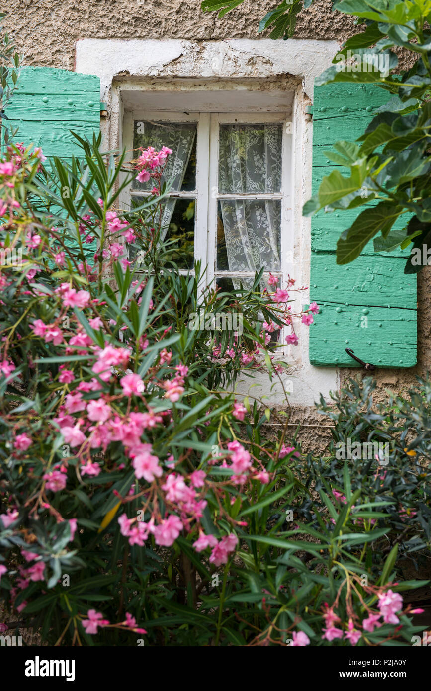 La Roche sur le bois, proche de Buis-les-Baronnies, Département de la Drôme, région Rhône-Alpes, Provence, France Banque D'Images