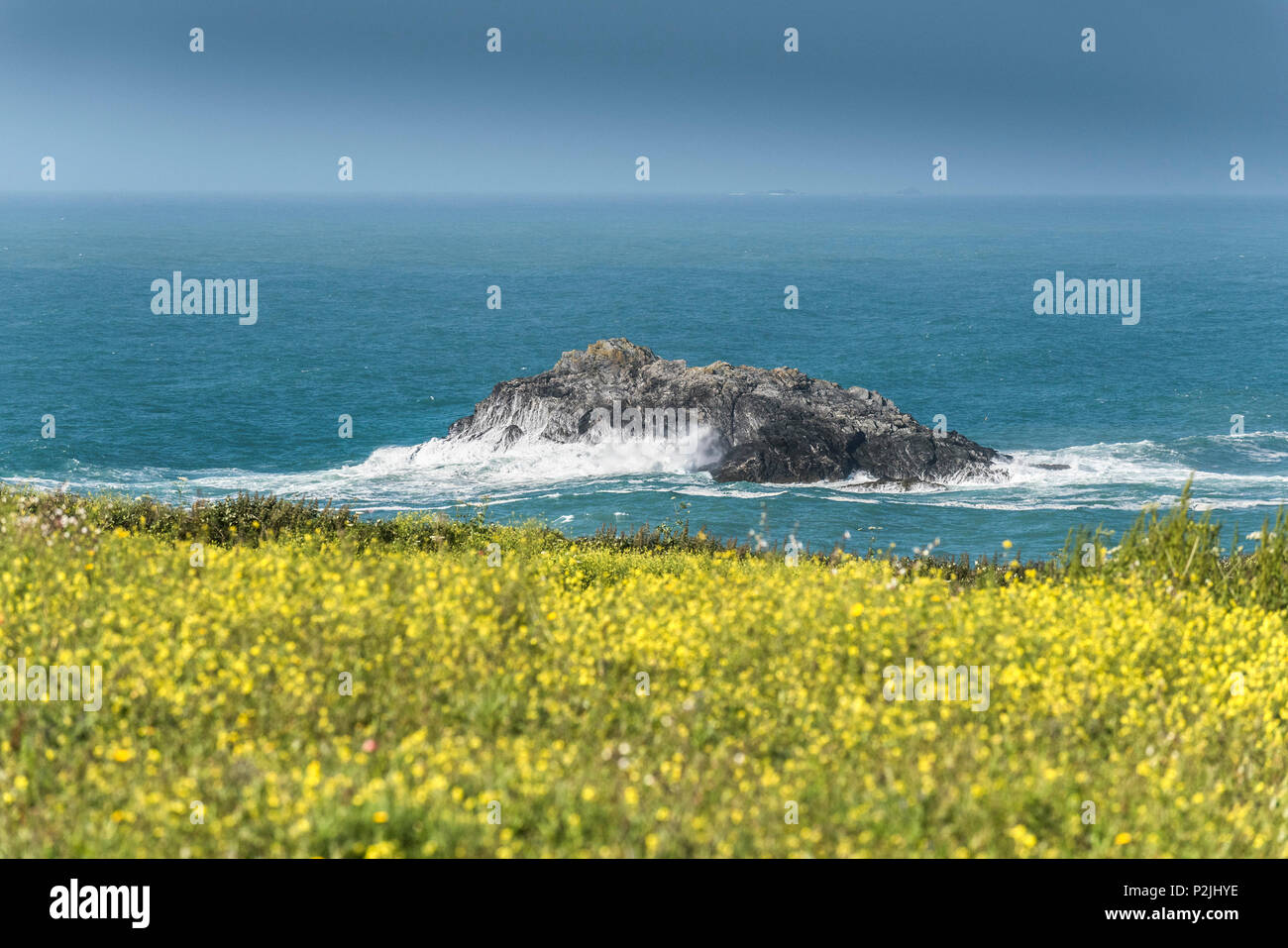 L'Oie une petite île inhabitée de rochers au large de la côte de Newquay en Cornouailles. Banque D'Images