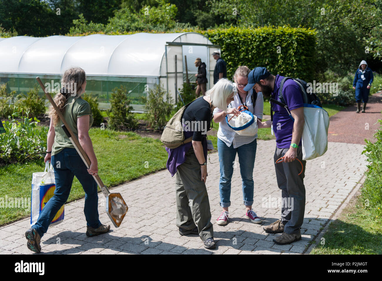 Des chercheurs de l'Edinburgh Botanics bioblitz 2018. Banque D'Images