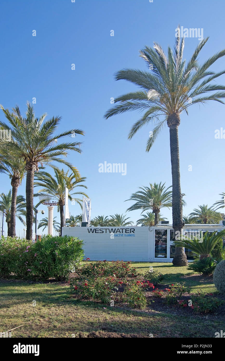 PALMA DE MAJORQUE, ESPAGNE - Juin 13, 2018 : Westwater Yacht Sales office avec des palmiers avant le 13 juin 2018 à Palma de Majorque, îles Baléares, Banque D'Images