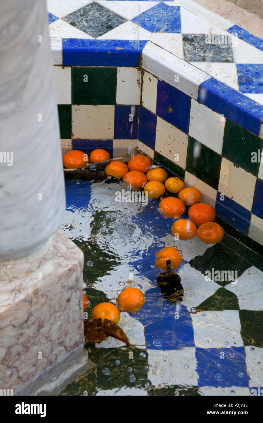 Les oranges tombés dans une fontaine, jardins de Murillo, Séville, Andalousie, Espagne Banque D'Images