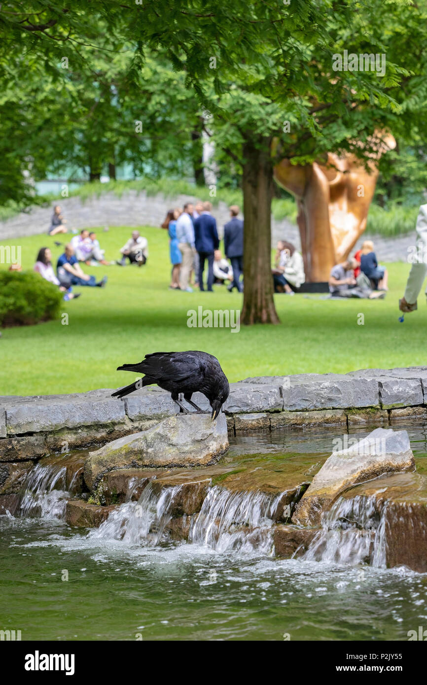 Jubilee Park, Canary Wharf, London Banque D'Images