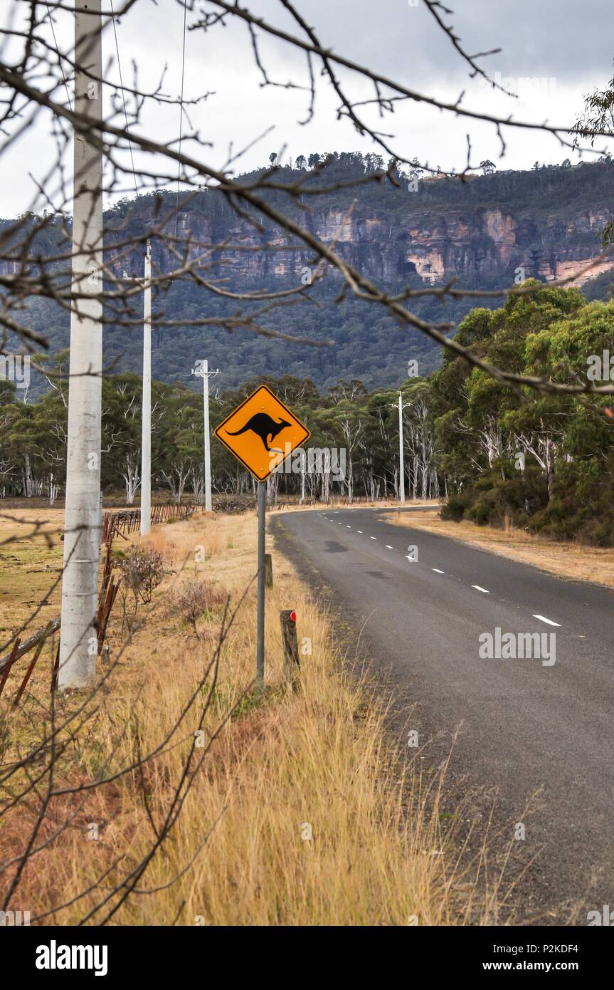 Kangaroo panneau d'avertissement sur le côté de la route dans les régions rurales de l'Australie Banque D'Images