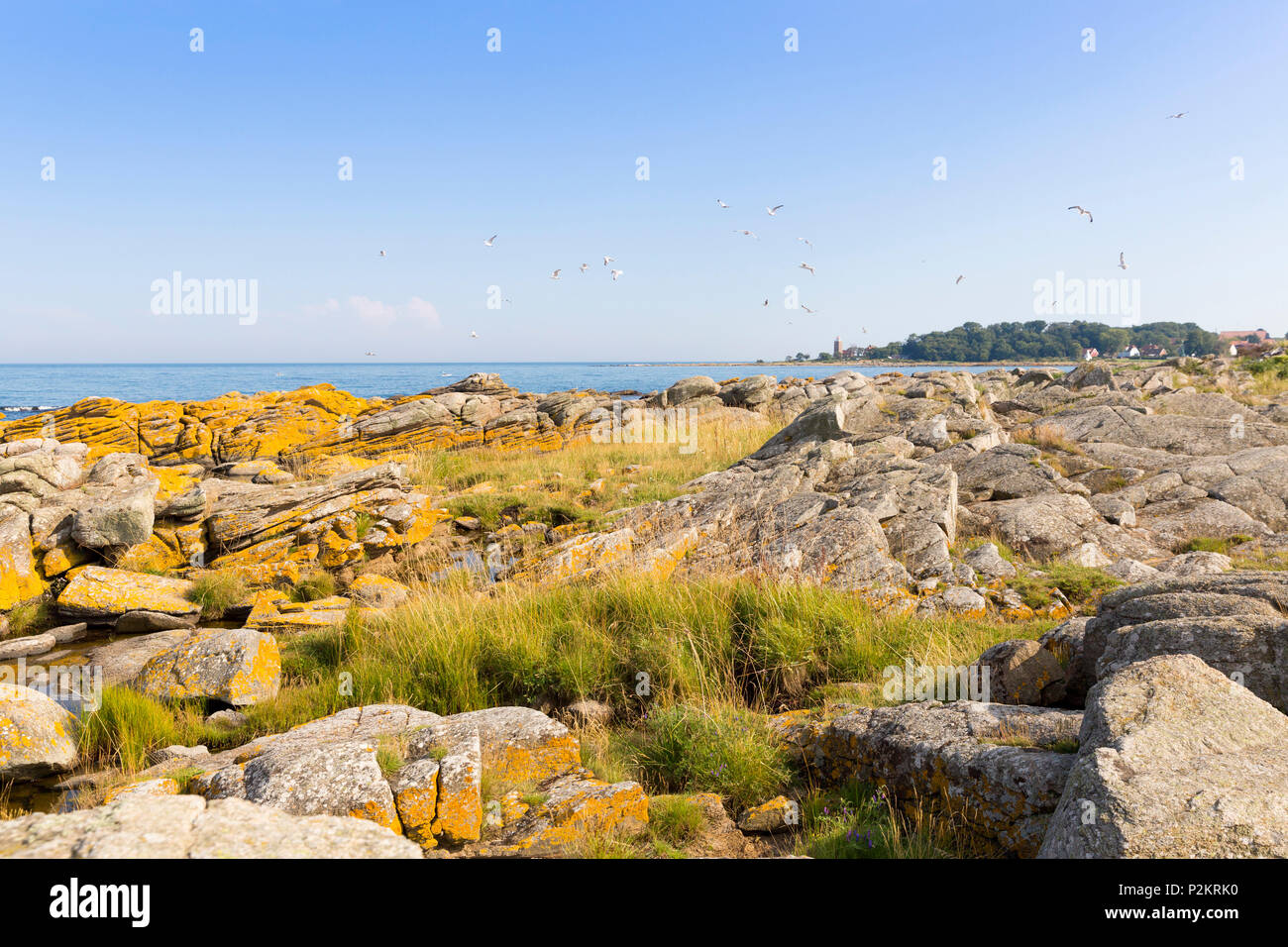 Phare de Svaneke avec les goélands, côte rocheuse, l'été, la mer Baltique, Bornholm, Danemark, Europe, Allinge Banque D'Images