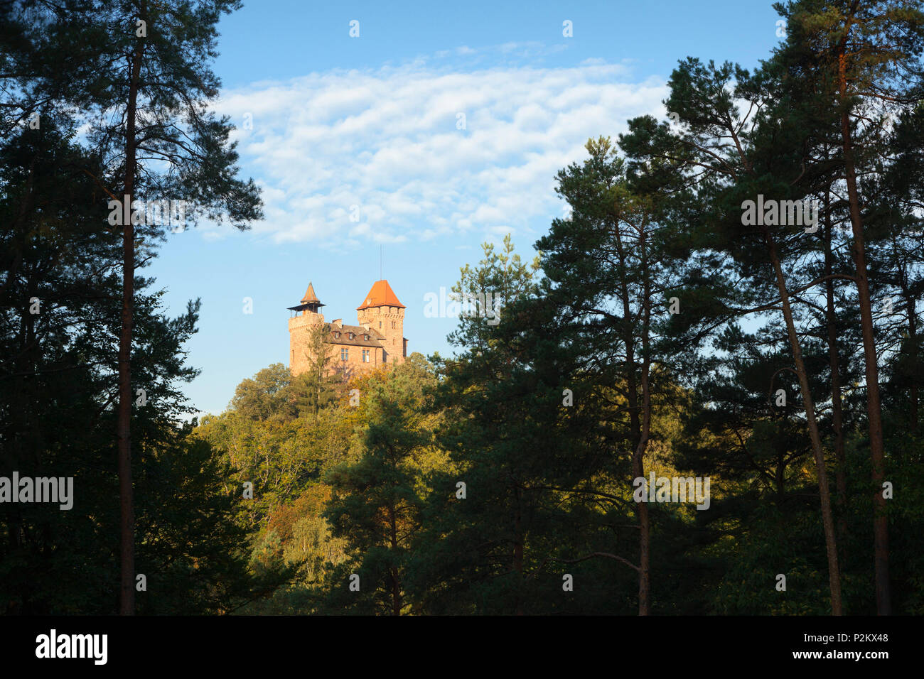 Le château de Berwartstein, près de Erlenbach, Dahner Felsenland, parc naturel de la Forêt du Palatinat, Rhénanie-Palatinat, Allemagne Banque D'Images