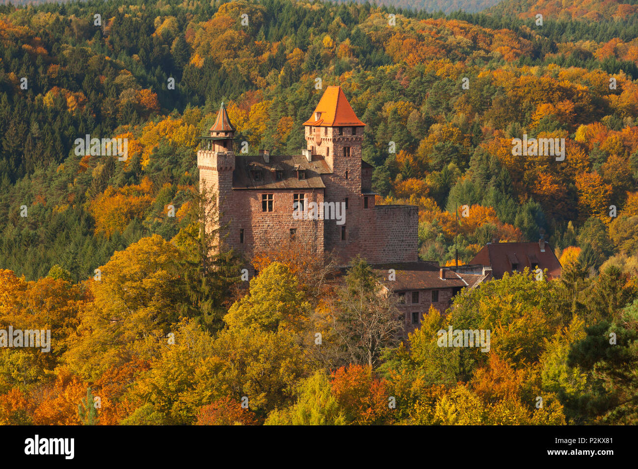 Couleurs d'automne, près de Nothweiler, parc naturel de la Forêt du Palatinat, Rhénanie-Palatinat, Allemagne Banque D'Images