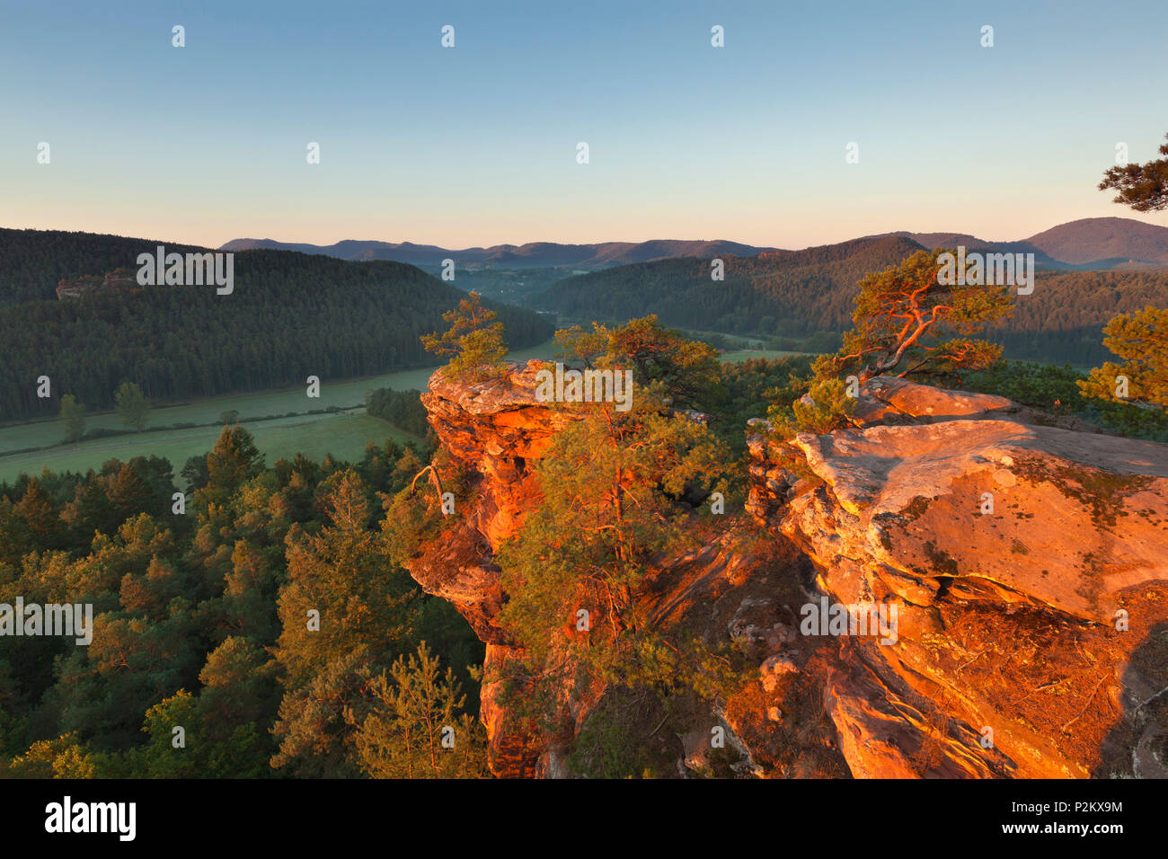 Sprinzelfels rock, près de Busenberg, Dahner Felsenland, parc naturel de la Forêt du Palatinat, Rhénanie-Palatinat, Allemagne Banque D'Images