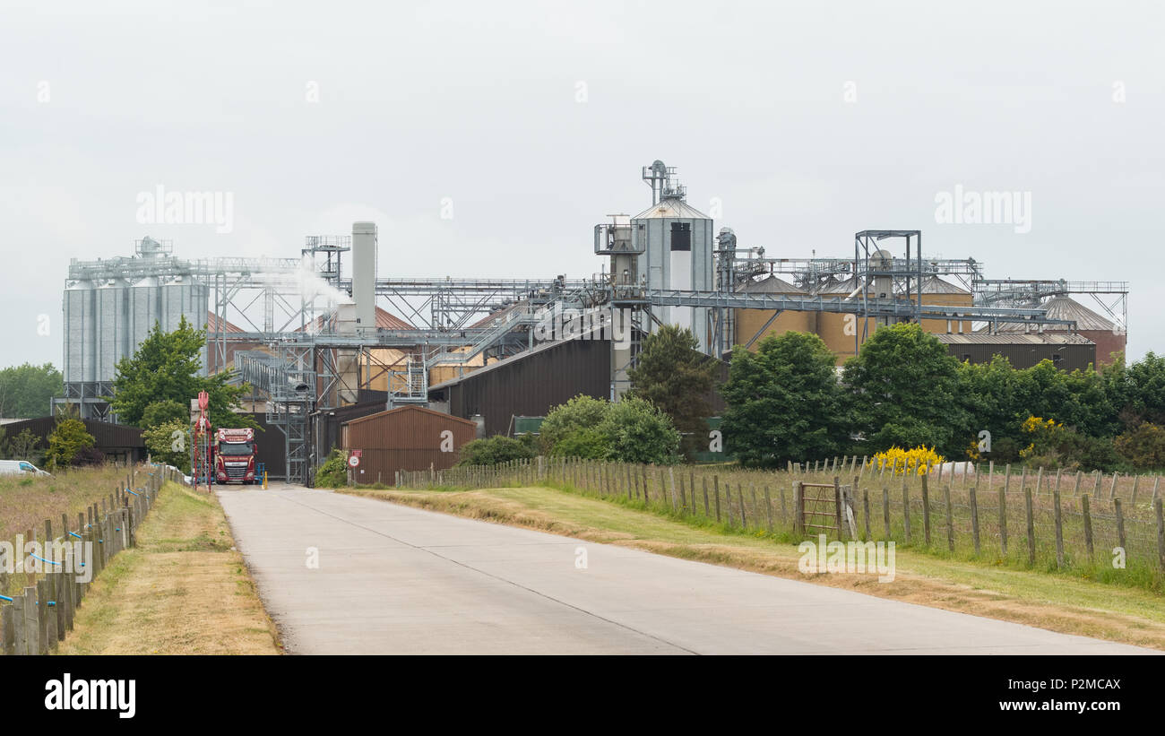 Maltings Portgordon, une partie du Crisp Malting Group fournit pour le whisky de malt et distiller l'industrie brassicole, Moray, Ecosse, Royaume-Uni Banque D'Images