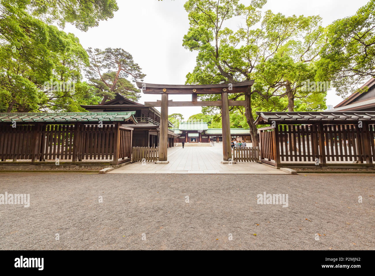 Entrée latérale du sanctuaire de Meiji au début de la matinée, Shibuya, Tokyo, Japon Banque D'Images