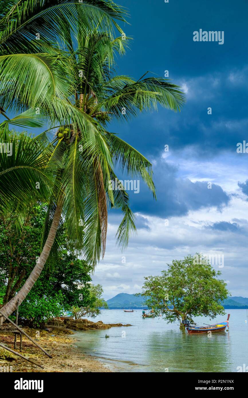 La Thaïlande, la province de Trang, Ko Mook island, côte est Banque D'Images