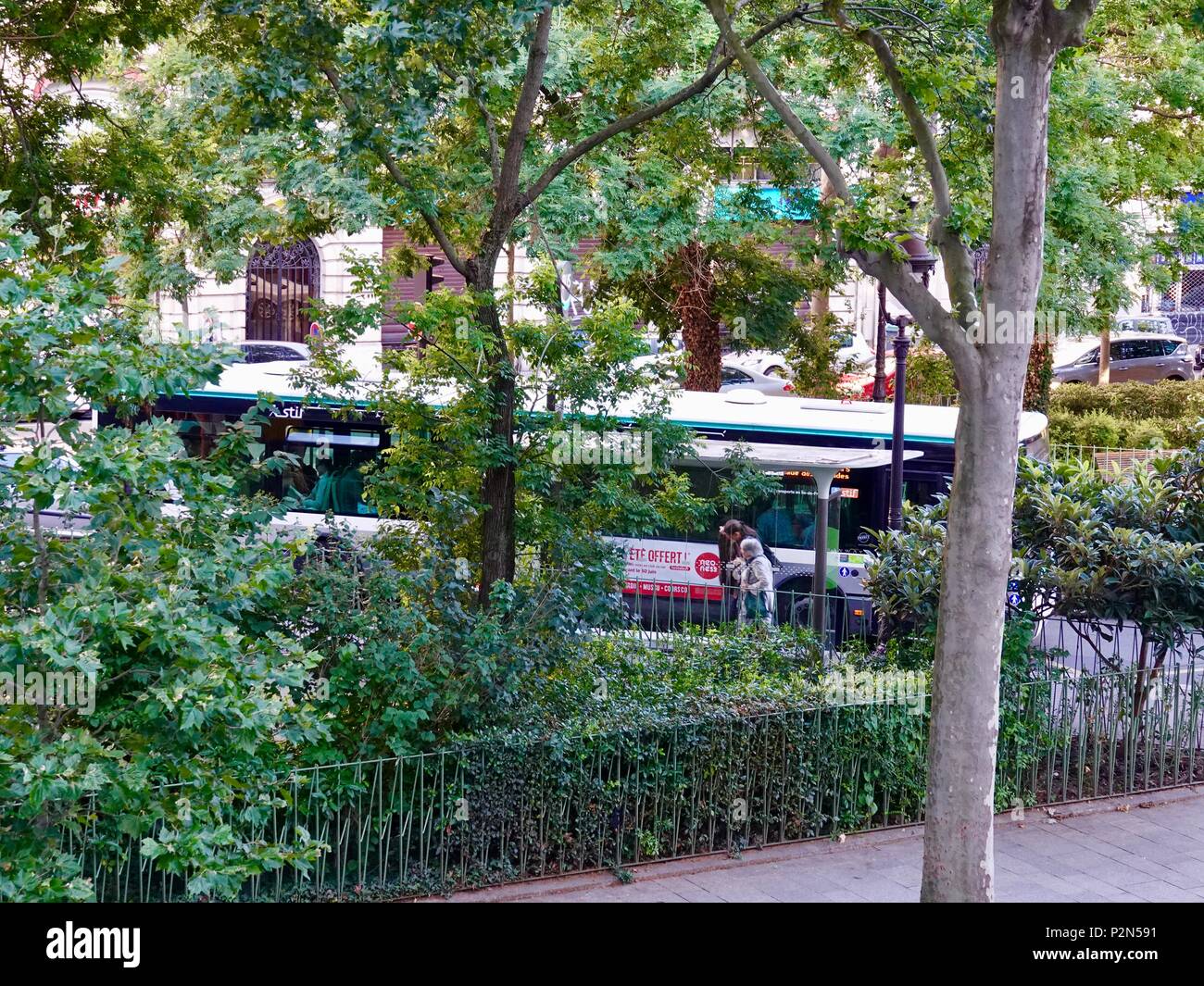 Juste de sortir le nombre de cavaliers 69 bus en fin d'après-midi. Vu à travers les arbres avec d'épais feuillages. Paris, France. Banque D'Images