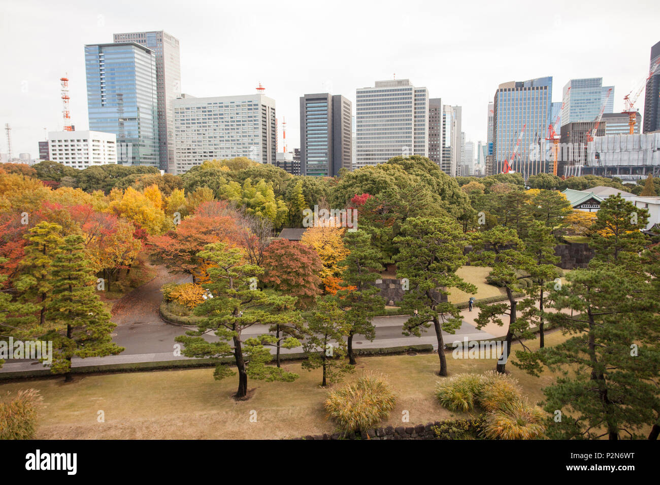 Vue depuis le jardin secret en vue de Honmaru jardin impérial, Chiyoda-ku, Tokyo, Japon Banque D'Images