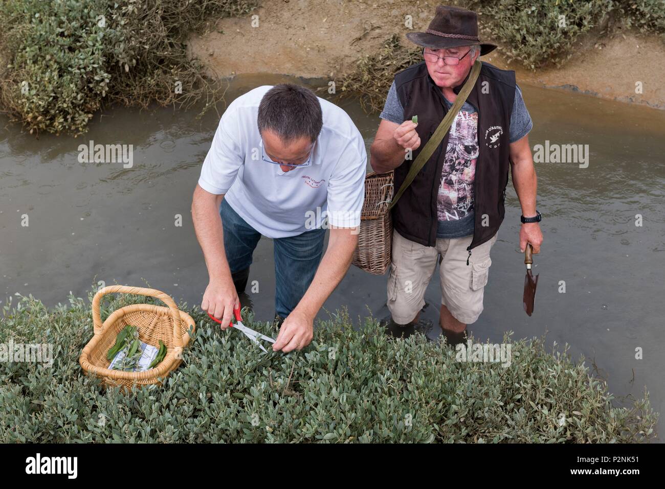 En France, en somme, Fort Mahon Plage, de l'agriculture à la baie d